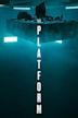 The Platform (film)