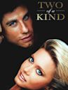 Two of a Kind (1983 film)