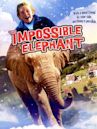 The Impossible Elephant