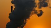 Touted as a climate solution, carbon offsets come back under scrutiny