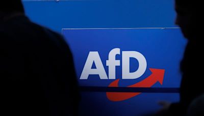 Court rules Bavaria can put the far-right AfD under surveillance