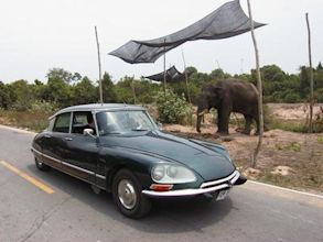 Citroën DS