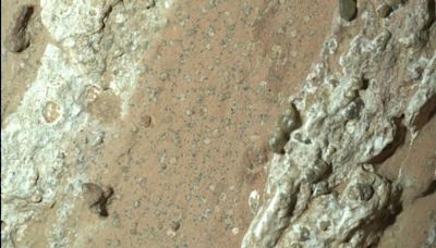 NASA encuentra roca en Marte con posible señal de vida antigua