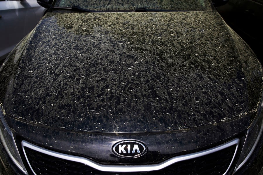More mysterious than you thought? Truth of green on cars