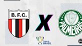 Botafogo-SP x Palmeiras: Escalações, desfalques, retrospecto, onde assistir, arbitragem e palpites