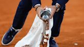 On a wing and a prayer, a pigeon is rescued by a French Open chair umpire during a match