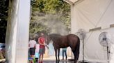Olimpíadas: conheça o protocolo adotado para proteger os cavalos do hipismo das altas temperaturas