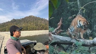 On International Tiger Day 2024, Sachin Tendulkar Urges People to Protect the National Animal - News18