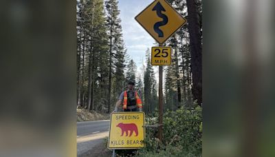 Yosemite National Park to visitors: Slow down to save the bears