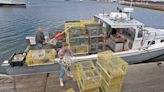 South Shore lawmakers want to pay lobstermen during months-long conservation closure