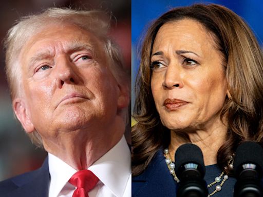 Trump is weaponizing the stock downturn to attack Kamala Harris