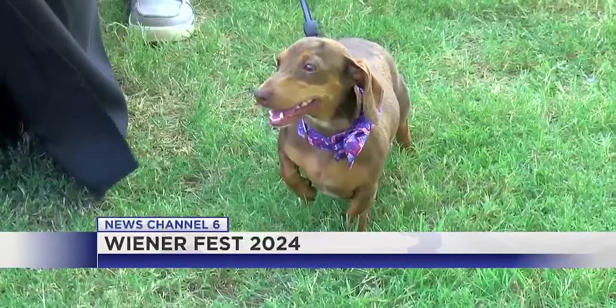 2024 Weinerfest celebrating National Dachshund Day