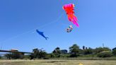 Third Annual Redwood Coast Kite Festival takes place in Eureka this weekend