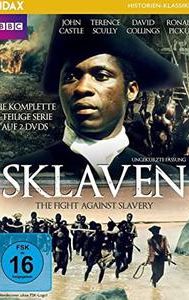 The Fight Against Slavery