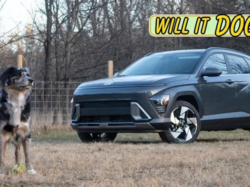 2024 Hyundai Kona: Will It Dog?