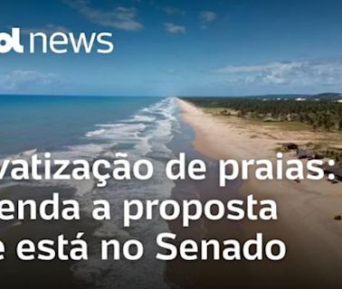 Privatização de praias: entenda o que muda com proposta que está no Senado