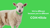 Cox Mobile To Ramp Up Marketing in Second Year (CES 2024)