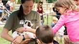 8 events in Lancaster County this weekend, from a baby animal festival to a Lancaster Rec beer garden