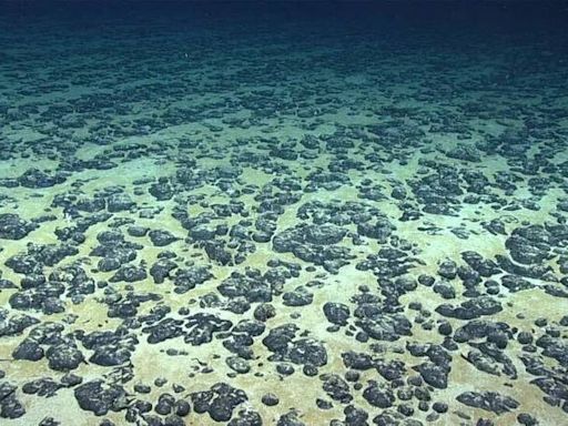 海底4000公尺驚現「暗氧」 顛覆科學認知