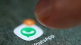 Desinformação pode ser denunciada para o WhatsApp da Comissão Nacional de Eleições