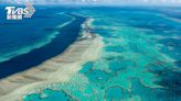 海水燒燙燙！澳洲大堡礁91％珊瑚礁出現白化跡象