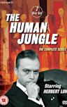 The Human Jungle (TV series)