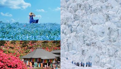 想出國？日本３大花海賞東京新百景、紐西蘭５大寶藏級景點玩到秋冬 - 玩咖Playing - 自由電子報