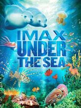 Under the Sea