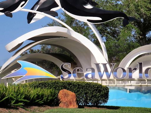 Teen dies from accidental drowning at Orlando marine-themed park, officials say