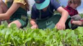 Farm to fork: Boise Urban Garden School teaching kids about cooking, gardening, and nutrition