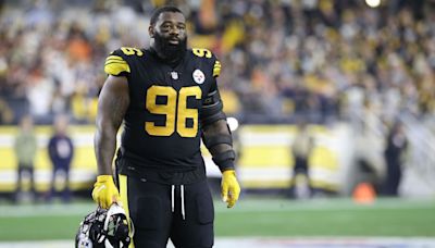 Report: Former Steelers DT Accused of Animal Cruelty