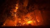 4,000 firefighters battle California's wide-ranging Park Fire | CBC News