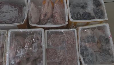 海關拘5漢 涉非法進口值7.2萬元凍肉