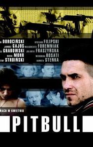 Pitbull (film)