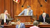 SC legislative session comes to a chaotic close as forces don't get along