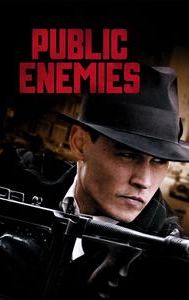 Public Enemies (2009 film)