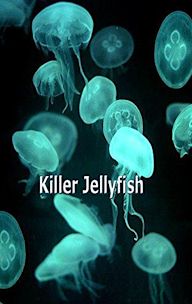 Killer Jellyfish