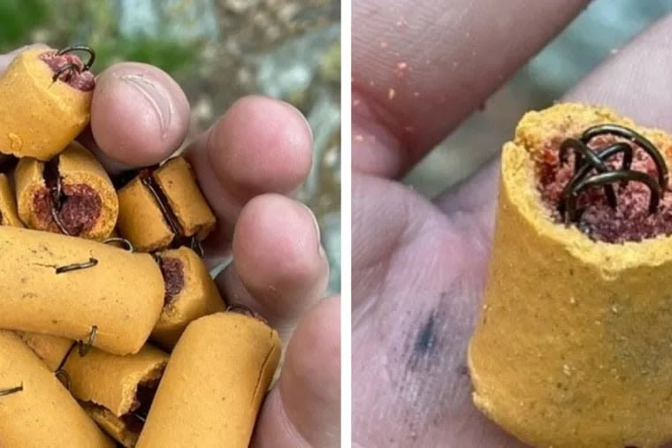 A ‘disturbed’ person put fish hooks in dog treats on Pa.’s Appalachian Trail, according to authorities