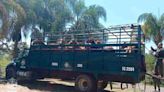 Caballos rescatados por maltrato son resguardados en AC de Puebla
