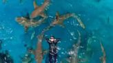 Watch: Woman Conquers Her Fear Of Sharks By Swimming With Them - News18