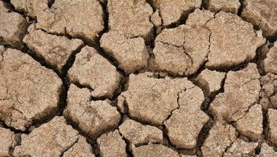 Drought has dried Amazon river tributary to lowest level in over 122 years