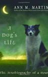 A Dog's Life: The Autobiography of a Stray (Scholastic Gold)