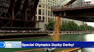 Ducky Derby sends 75,000 rubber ducks swimming in Chicago River