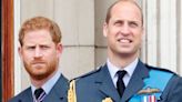 Prince Harry urged to make the first move to end rift with Prince William