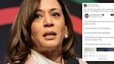 White male MAGA influencer roasted for post claiming to be a Black woman who would never vote for Kamala Harris
