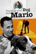 Training Your Dog With Mario: Atlantic