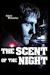 The Scent of the Night (film)