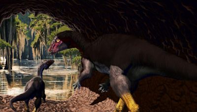 Dinosaure : une nouvelle espèce capable de vivre sous terre identifiée