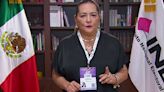 'Estamos viviendo una elección histórica, millones de mexicanos salieron a votar': INE