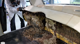 This Rat-Infested Mercury Montclair Barn Find Will Make You Gag